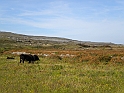 Dublino e Galway_041